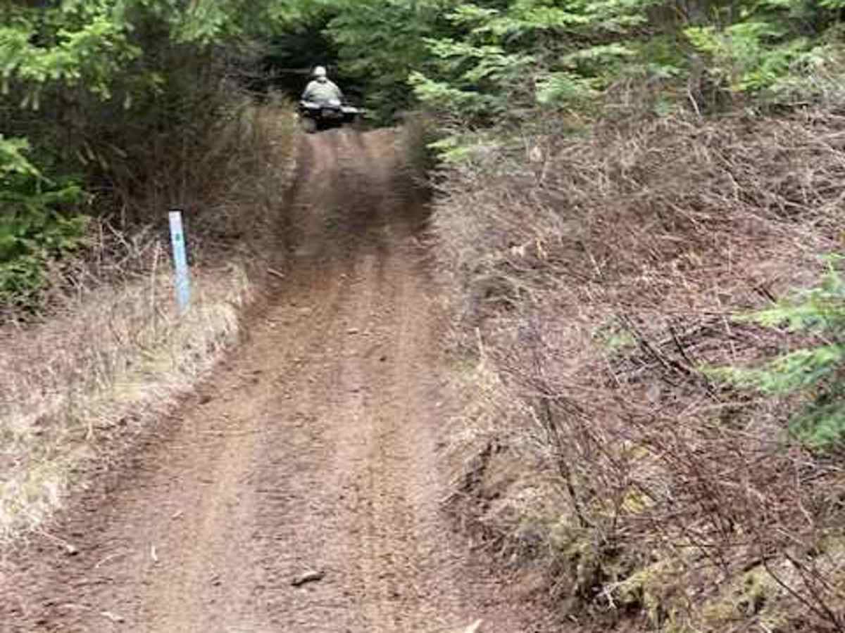 Kiawa Creek Trail photo 5