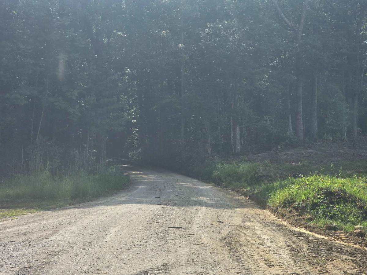 Duncan Hollow Road photo 4