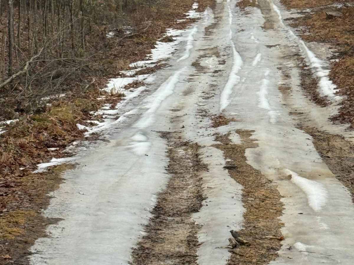 Cold Fork Trail photo 4
