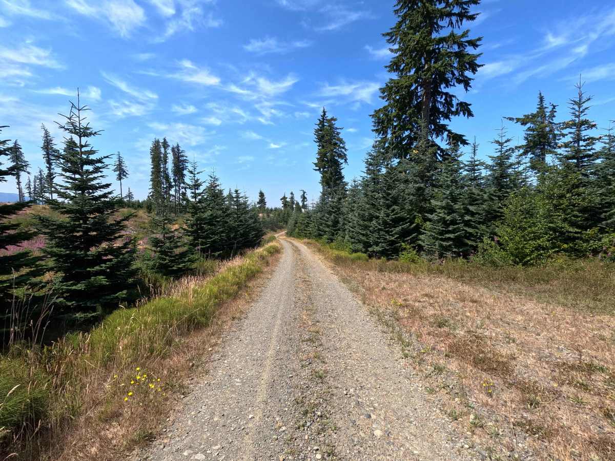 East Twin River Road photo 4