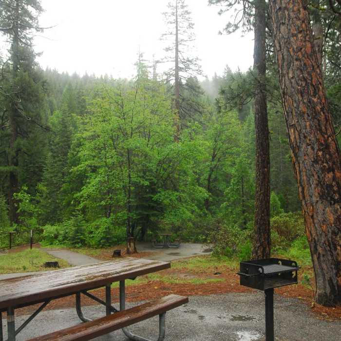 Near McCloud River Three Falls Hike