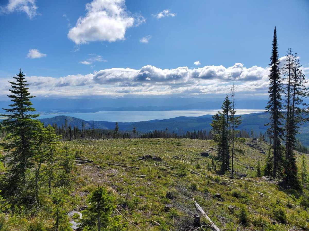 Lakeside to Blacktail photo 3