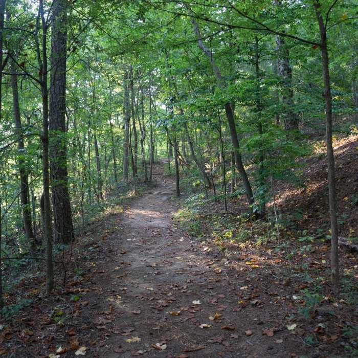 Near Vickery Creek Near Vickery Creek