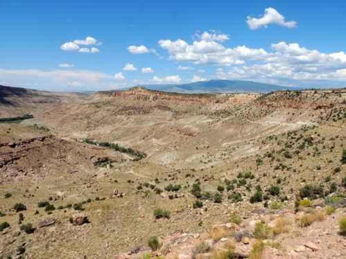 Escalante Canyon photo 4