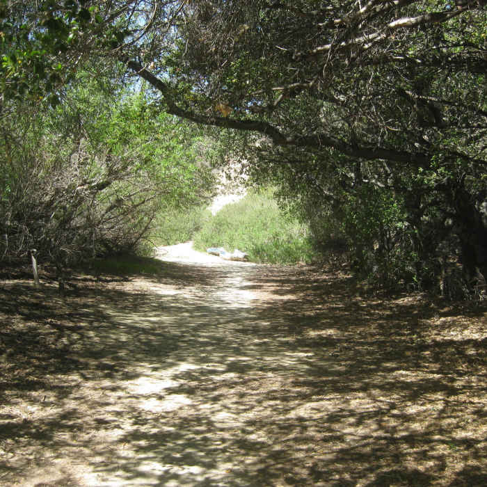 Near Limekiln Canyon Trail