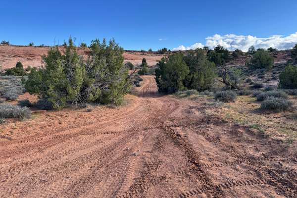 Power Pole Rim - BLM 4512