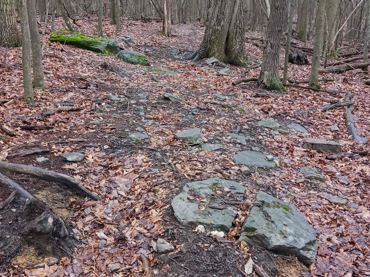 OHV 46 - Rock Run Recreation Area photo 2