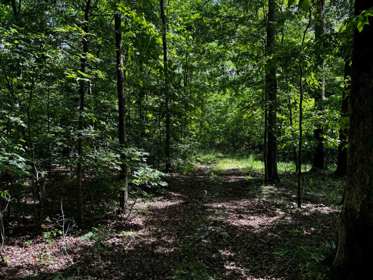 Hillside 70 photo 2