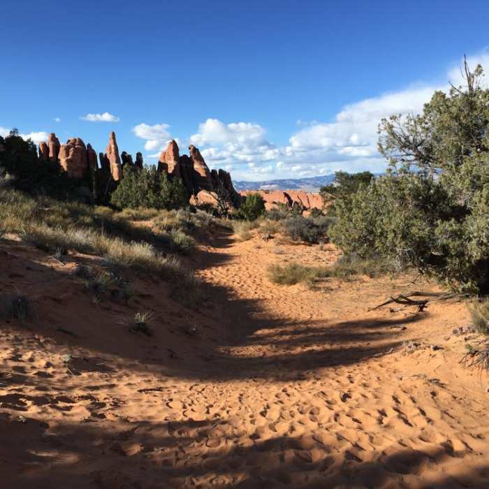 Near Devils Garden Primitive Loop Trail