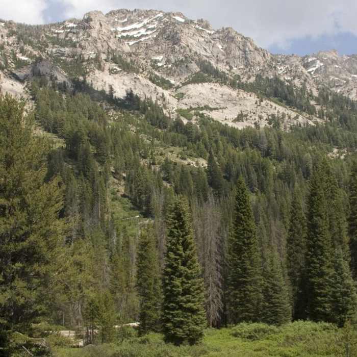 Near Stanley Lake Creek + Bridal Veil Falls