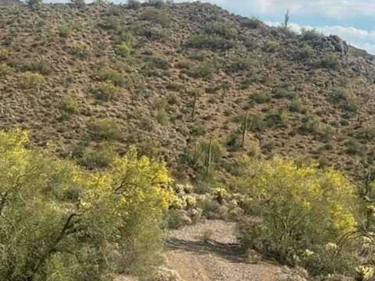 Mine Mountain  photo 4