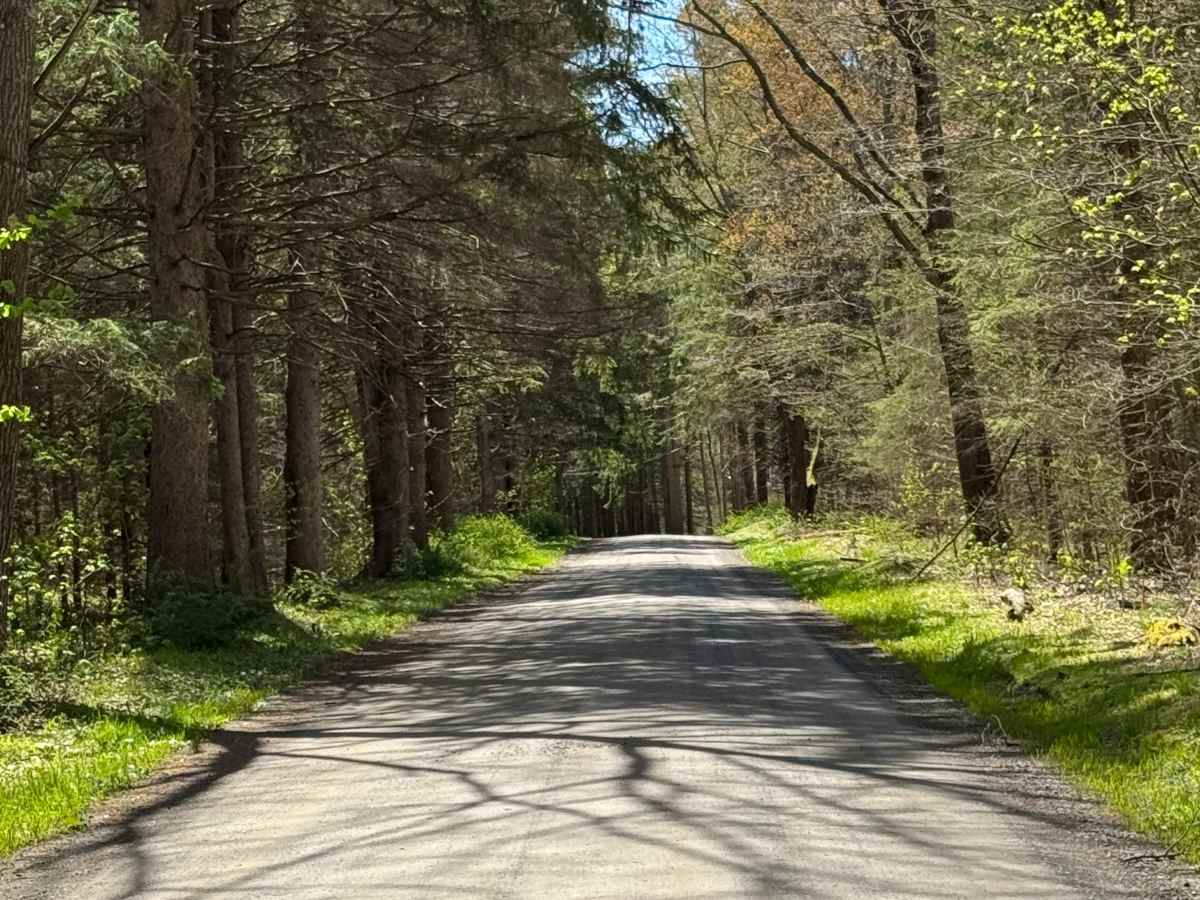 Crystal Springs Road photo 4