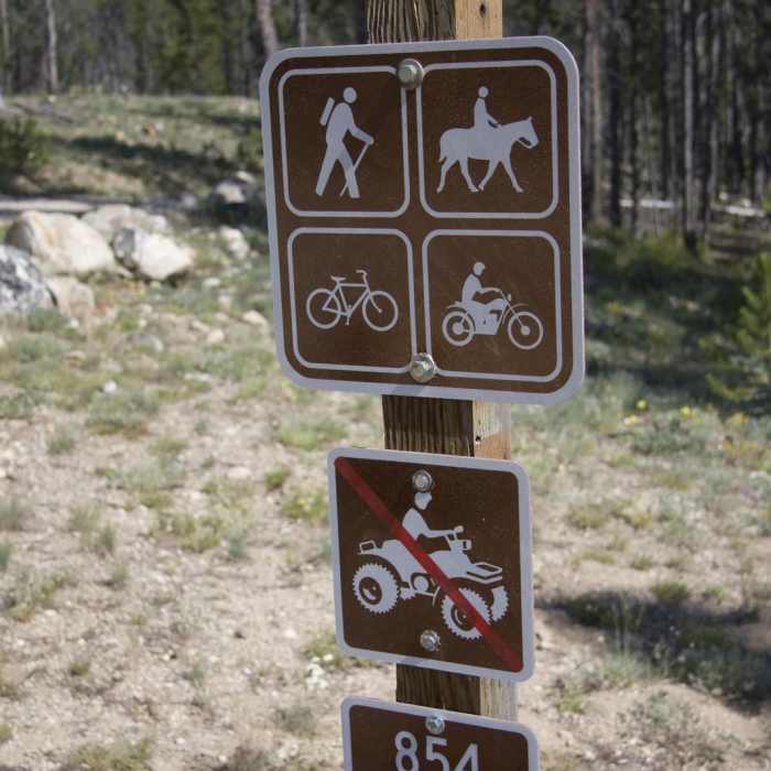 Near Elk Meadow + Elizabeth Lake