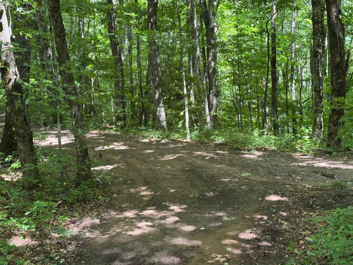 Hunt Cabin - FS 4666A photo 4