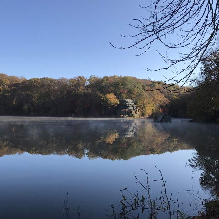 Near Lakeshore Trail