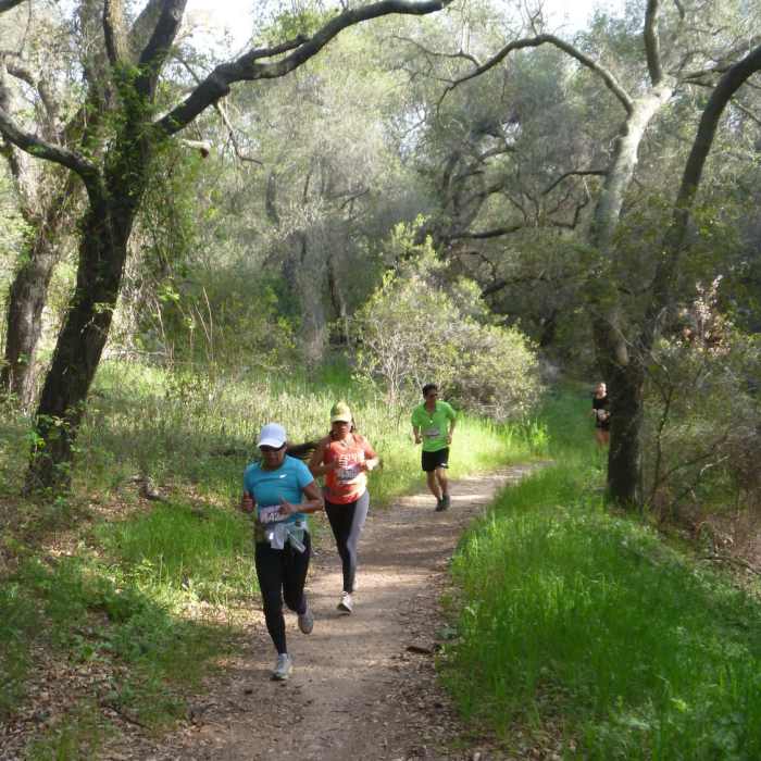 Near Vista Trail