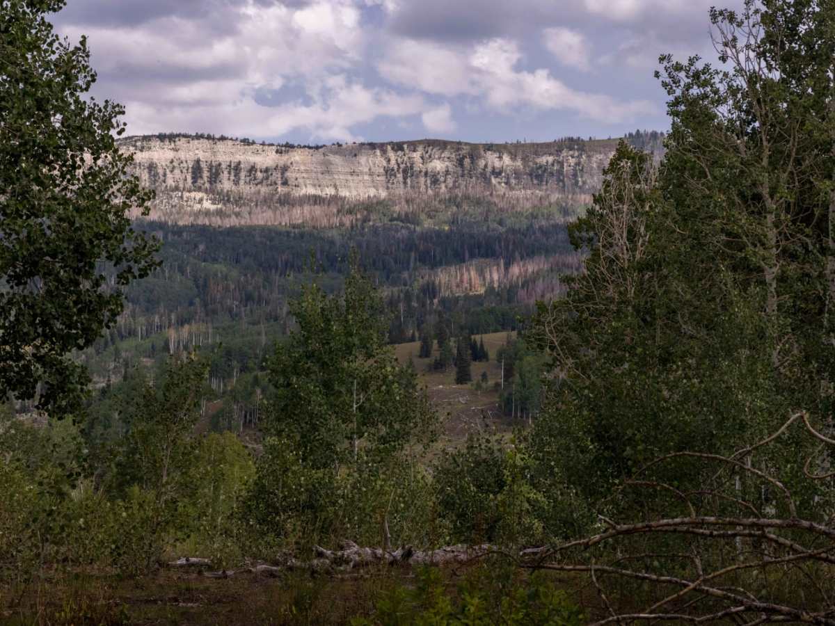 Beaver Creek Ridge Trail trail photo