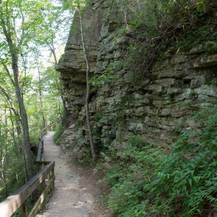 Near Cloudland Canyon: Waterfalls to Sitton's Gulch Trail