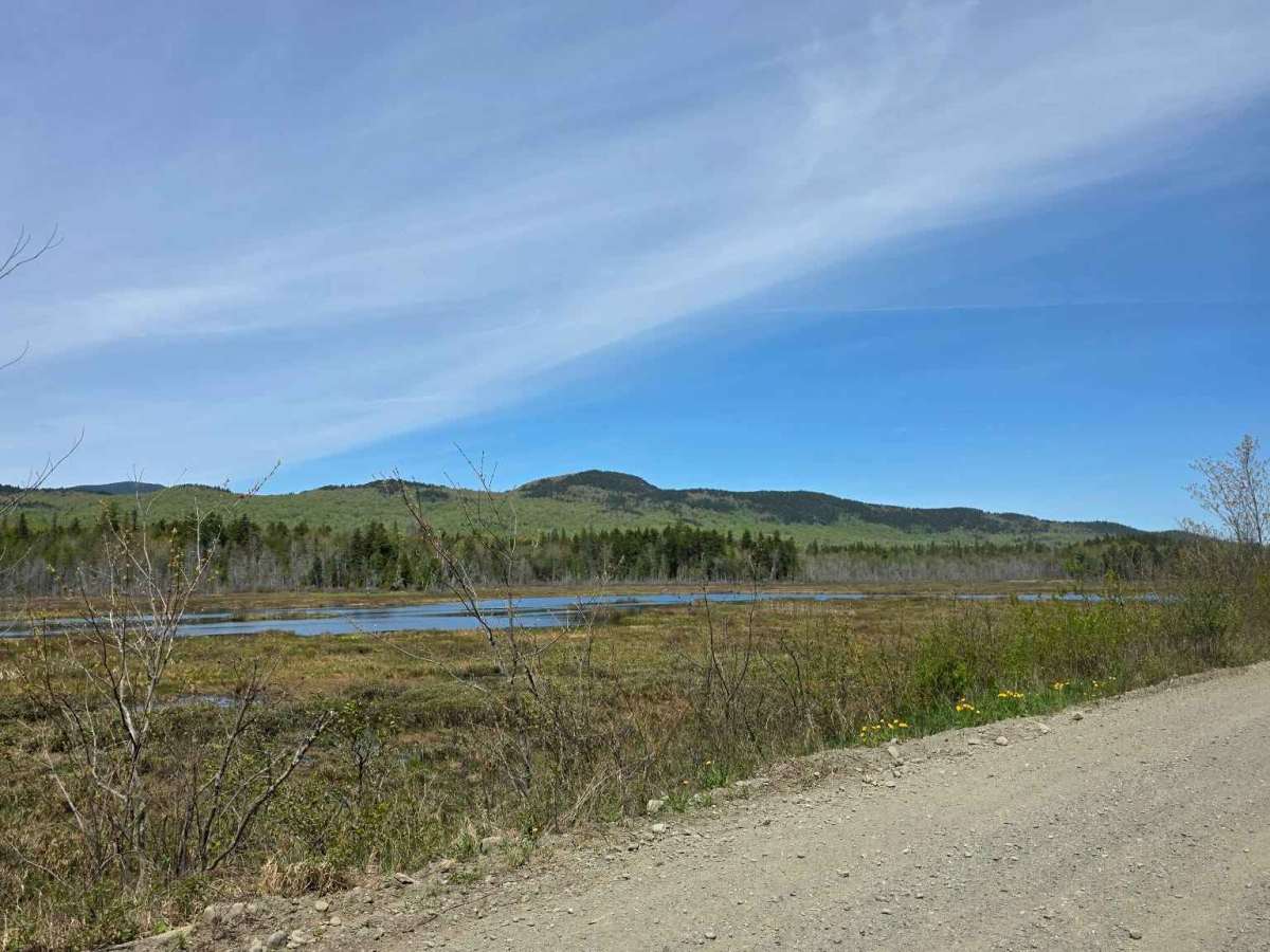 Moose Head Lake trail photo