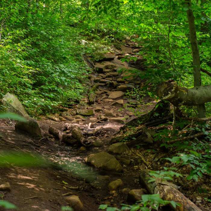 Near Echo Cliffs Near Echo Cliffs