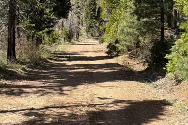 Carpenter Creek - FS 11N47