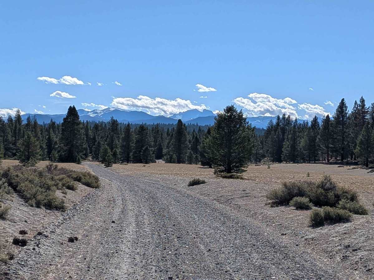 Sand Flat Cutoff trail photo