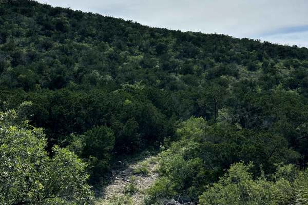 CATPAW Canyon
