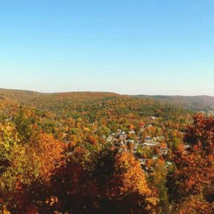 Near Milford Knob Trail