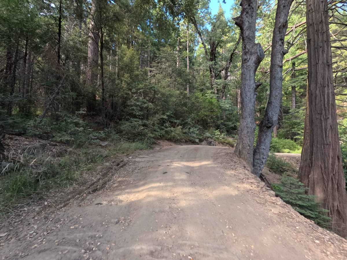 Chowchilla Mountain Road - FS 5S090 photo 3