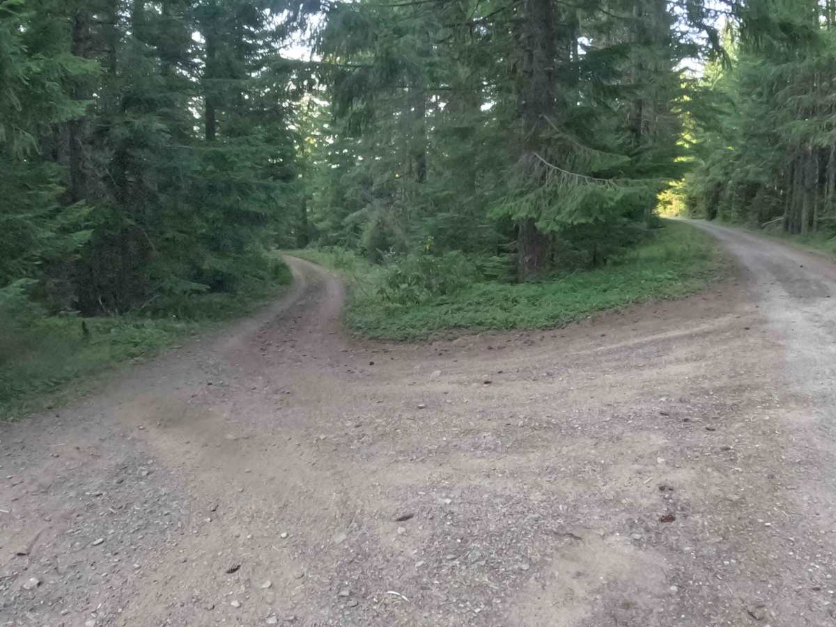 FS 1013190 photo 5