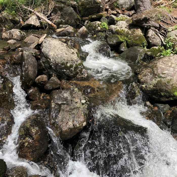 Crossing Whitney Creek - Scenic tumbling stream Near Whitney Lake Trail #2002