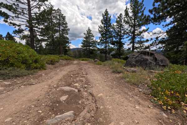 Pole Creek Spur - FS 5708