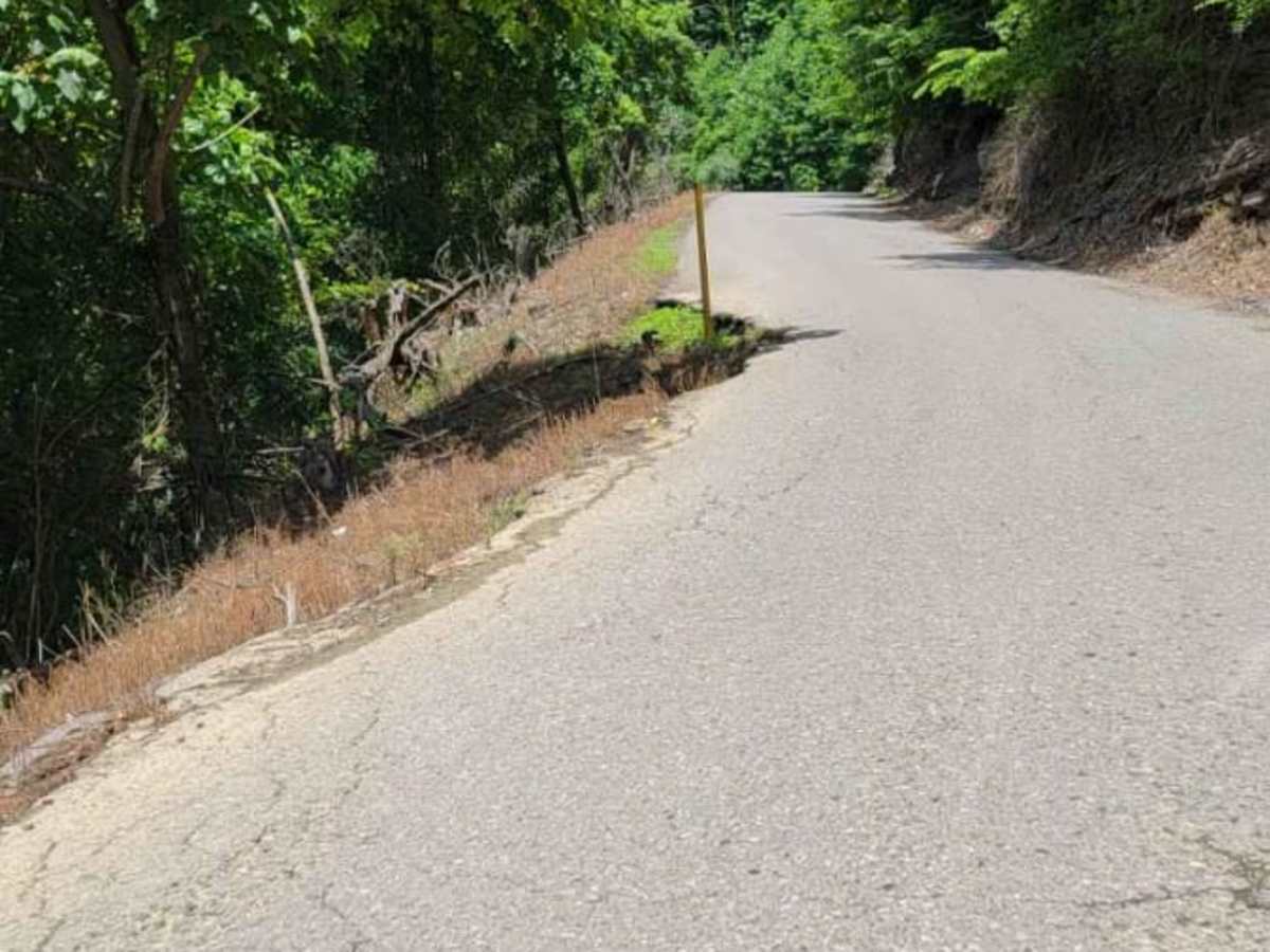 Trail P1 photo 4