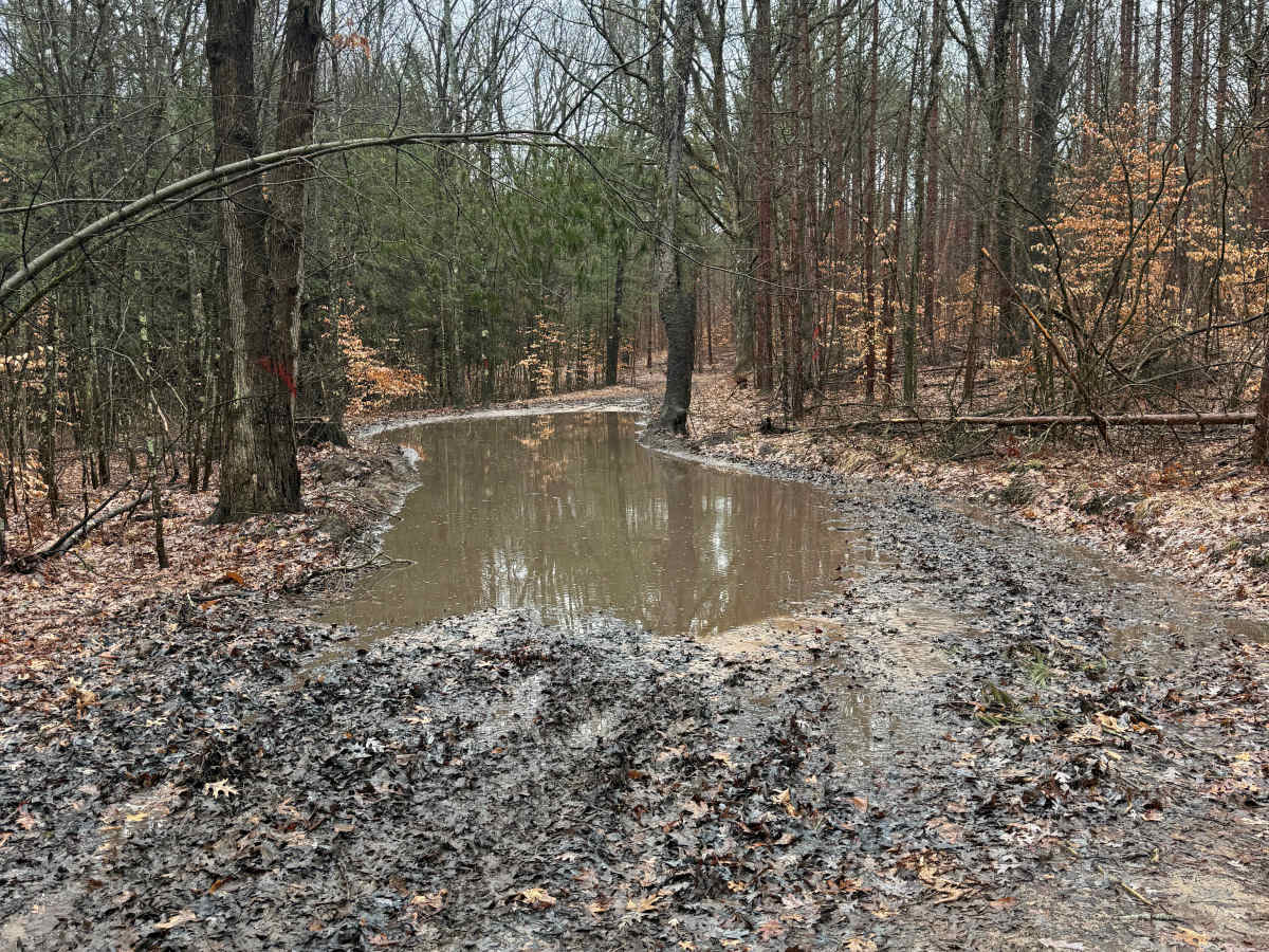 NFS 6079 trail photo