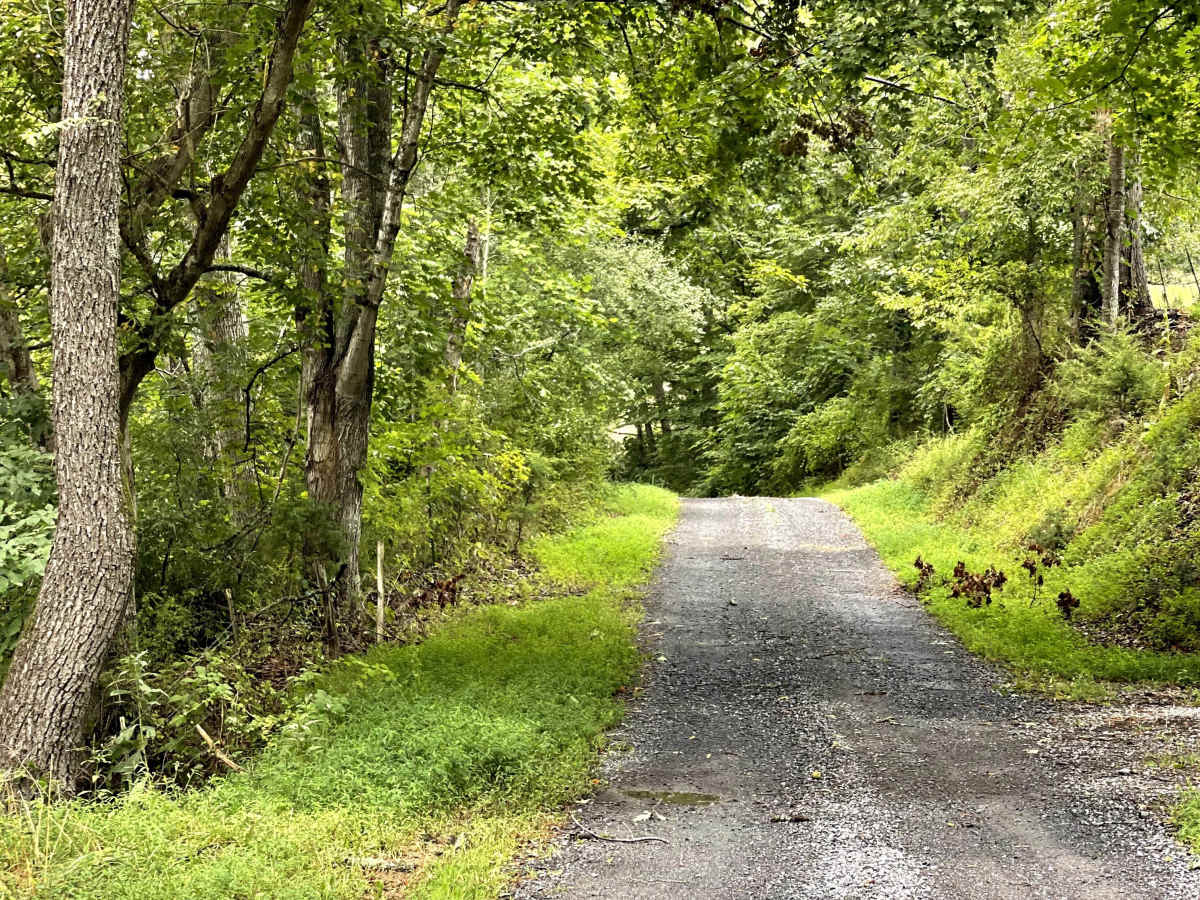 Whiteside Road photo 2
