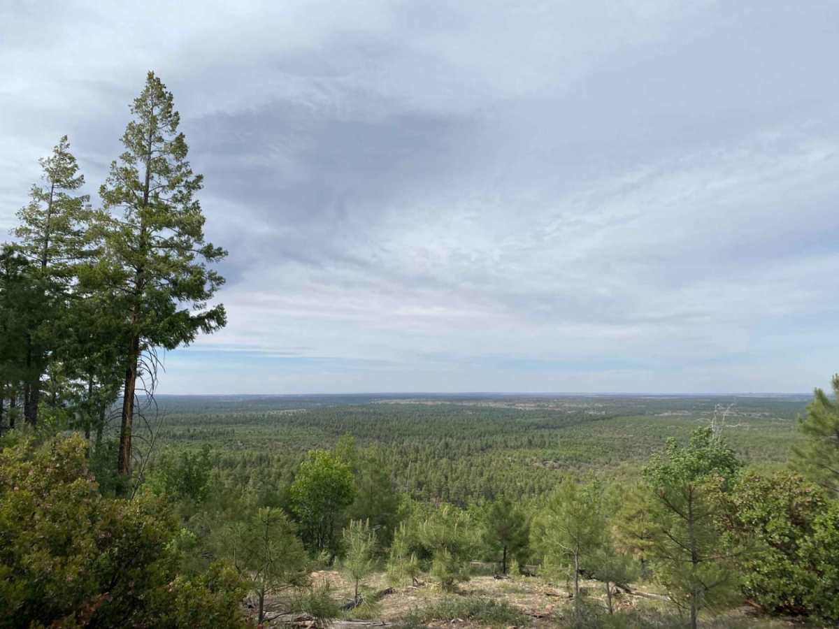 Rim Road East photo 4