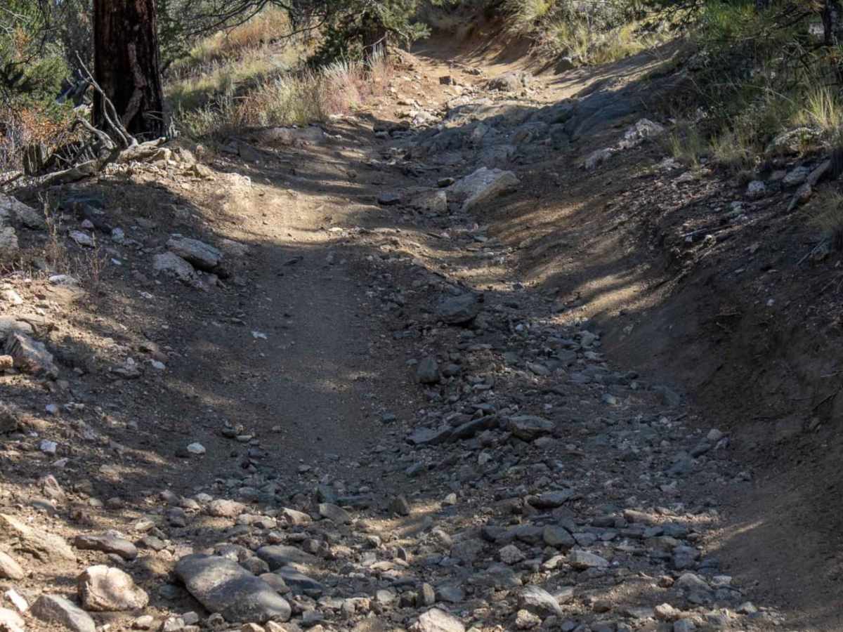 Triad Ridge West (ATV) photo 6