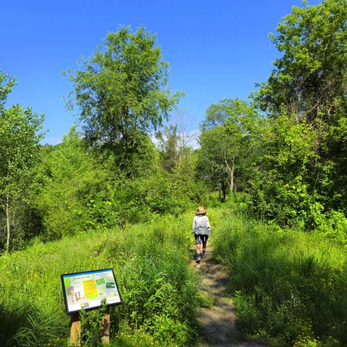 The turn-around point at Cedar Hills Park. Near Riley Creek Nature Trail