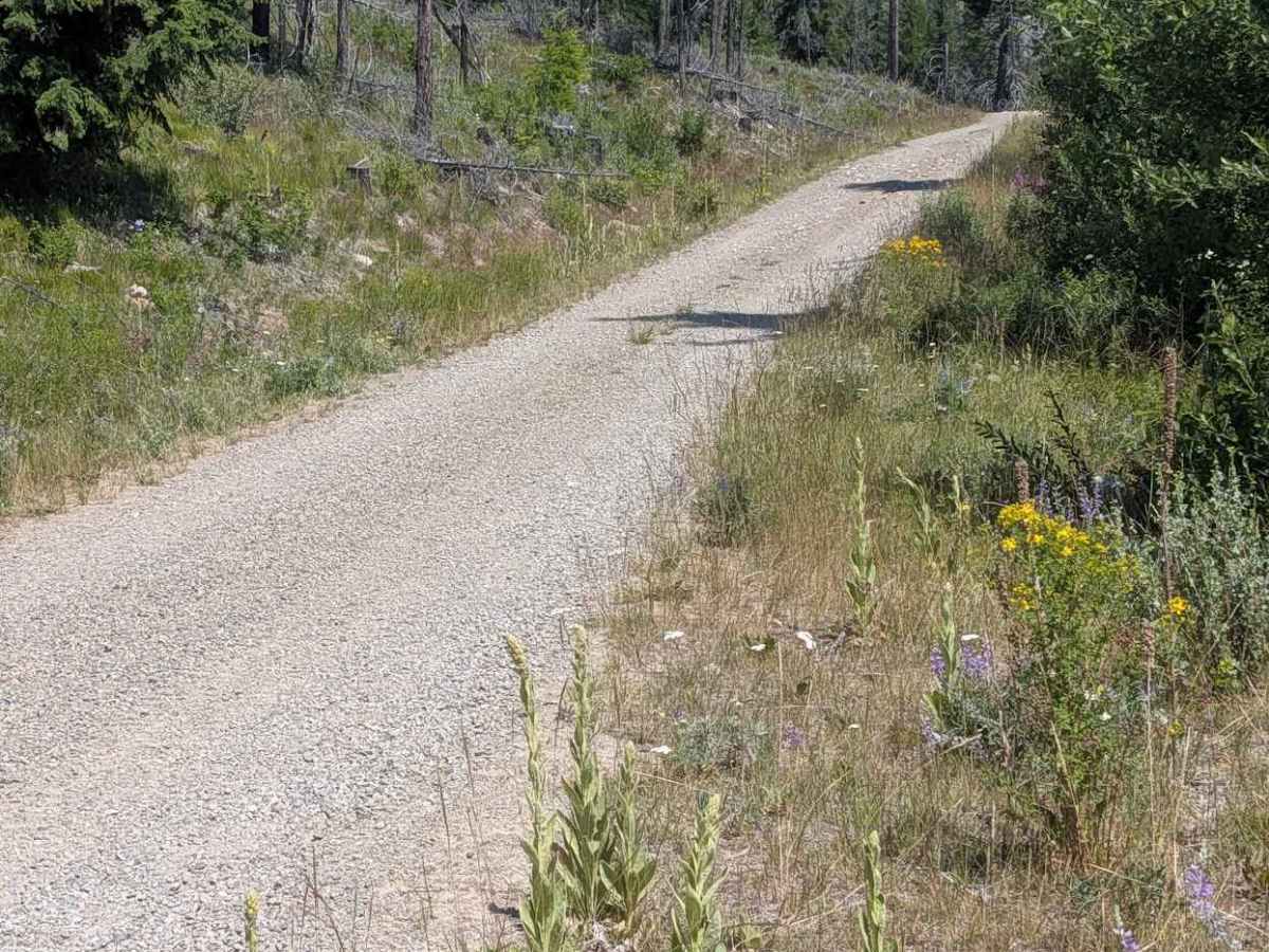 Gibson Creek Road photo 2