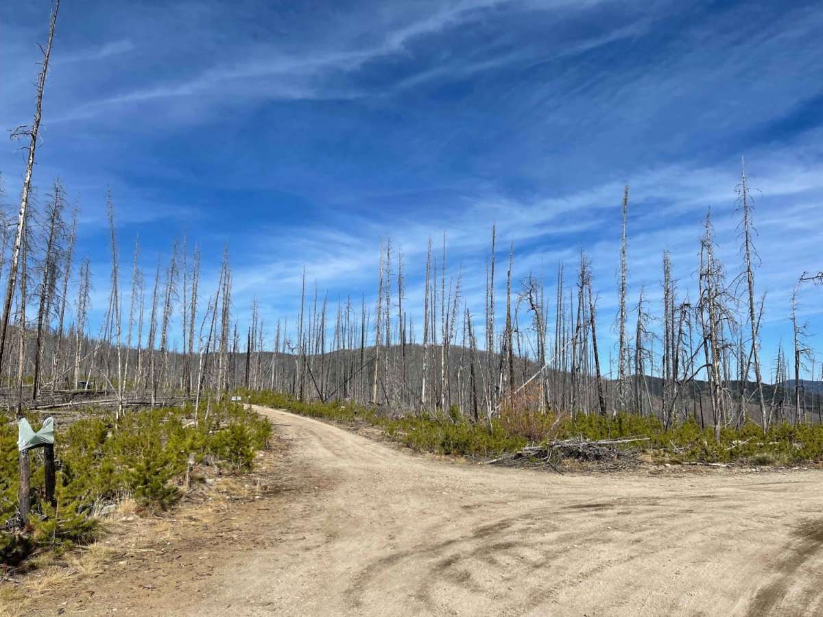 West End of Stateline Road photo 4