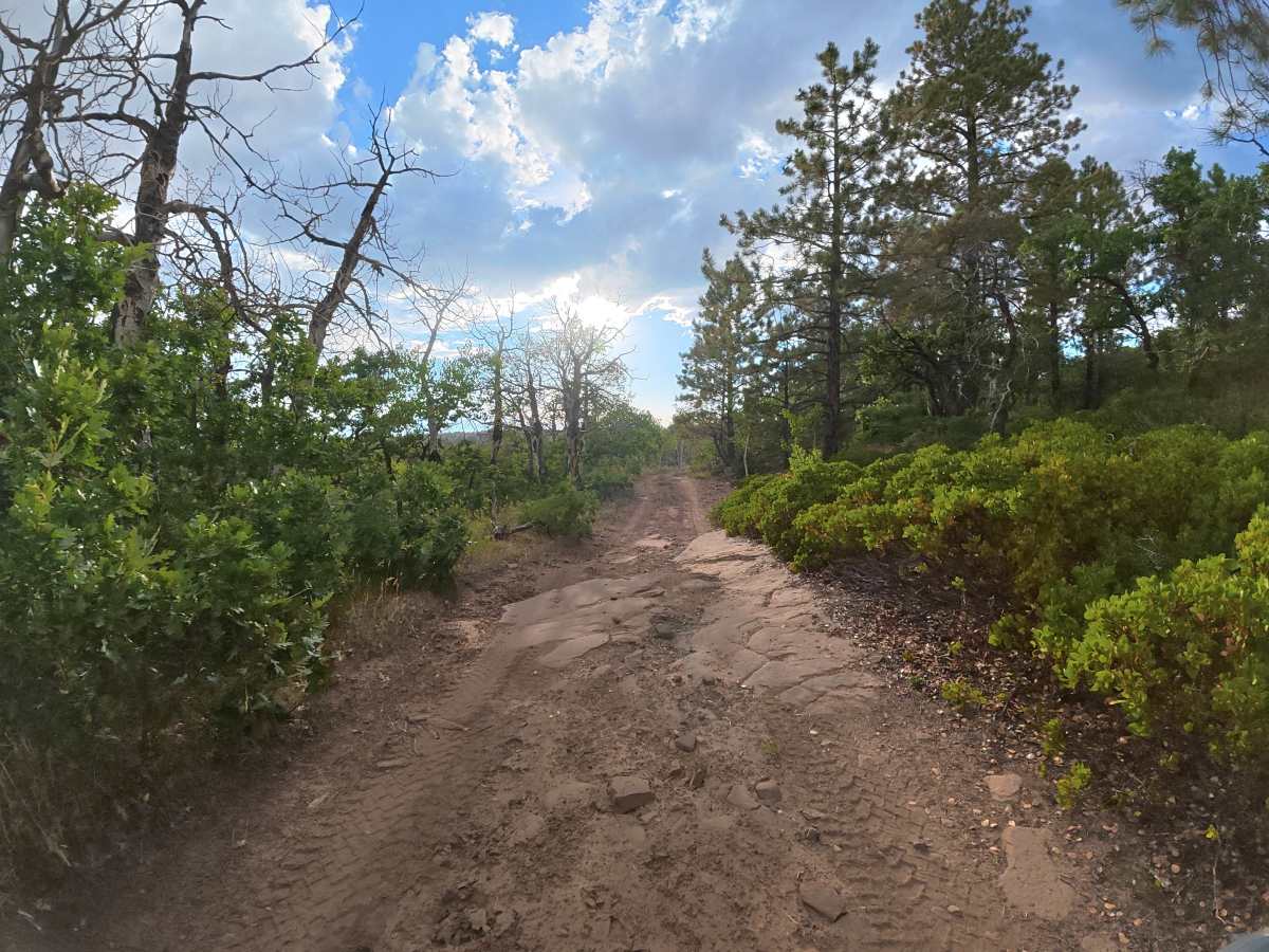 Bug Point Road photo 2