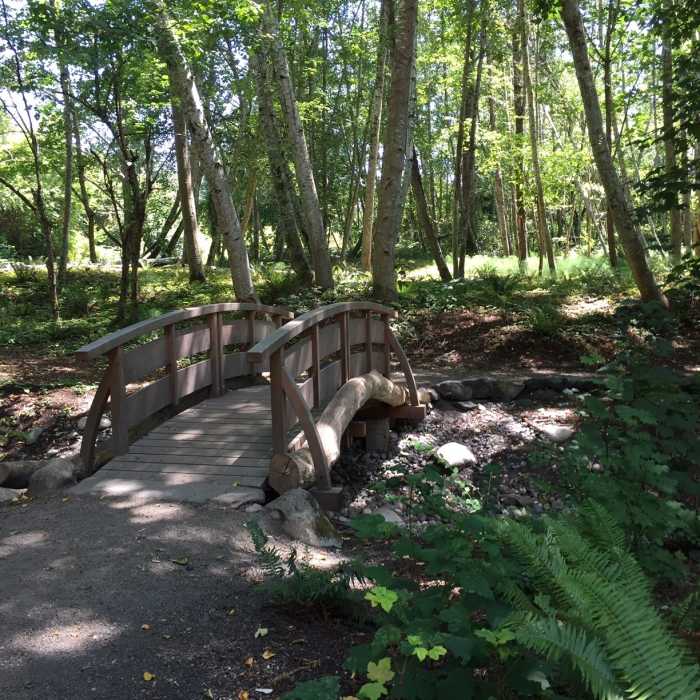 Near Blakely Cemetery Trail