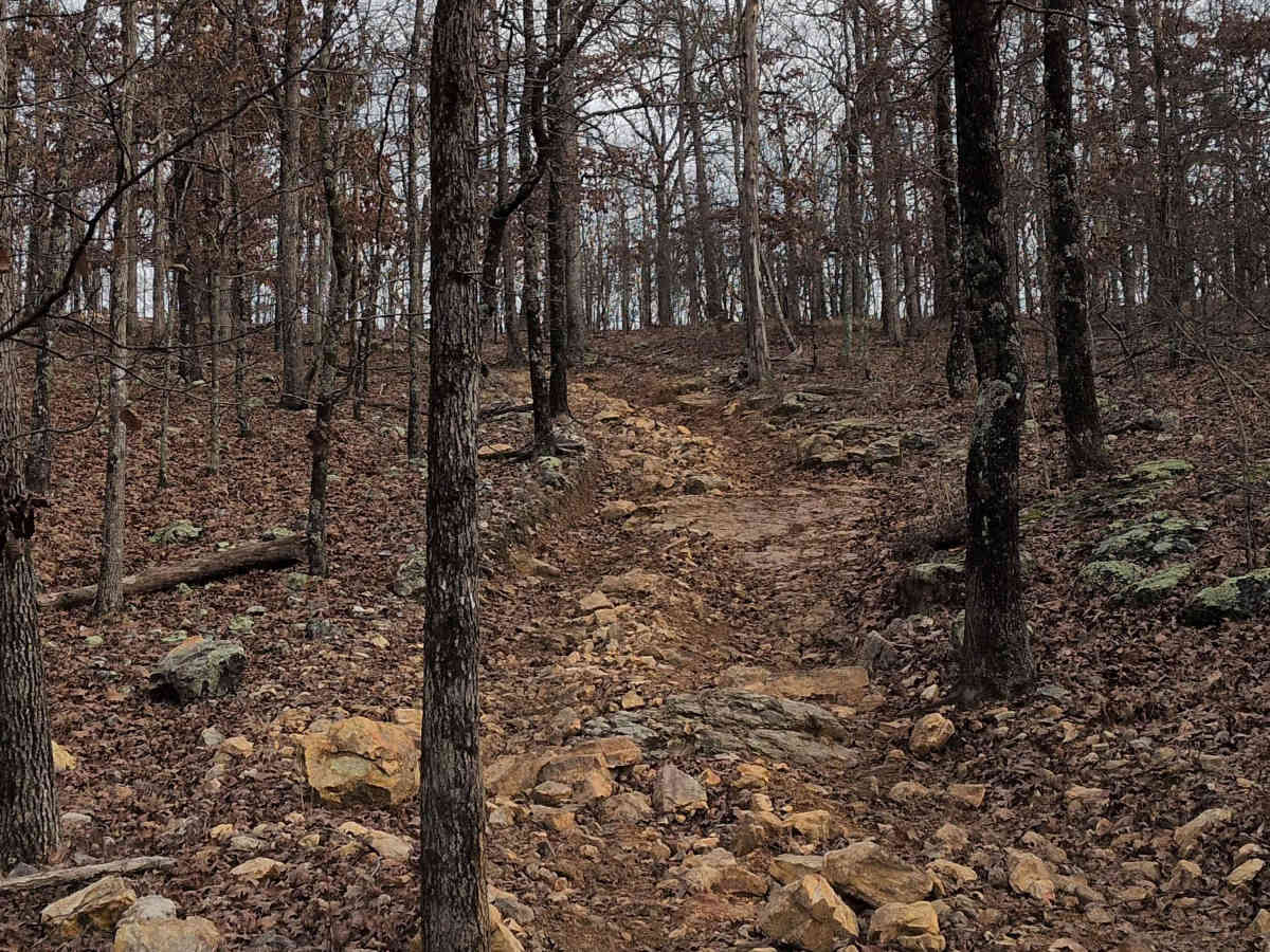 F57 photo 2