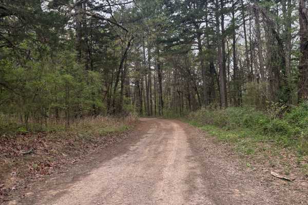 West Fork Point Remove Creek