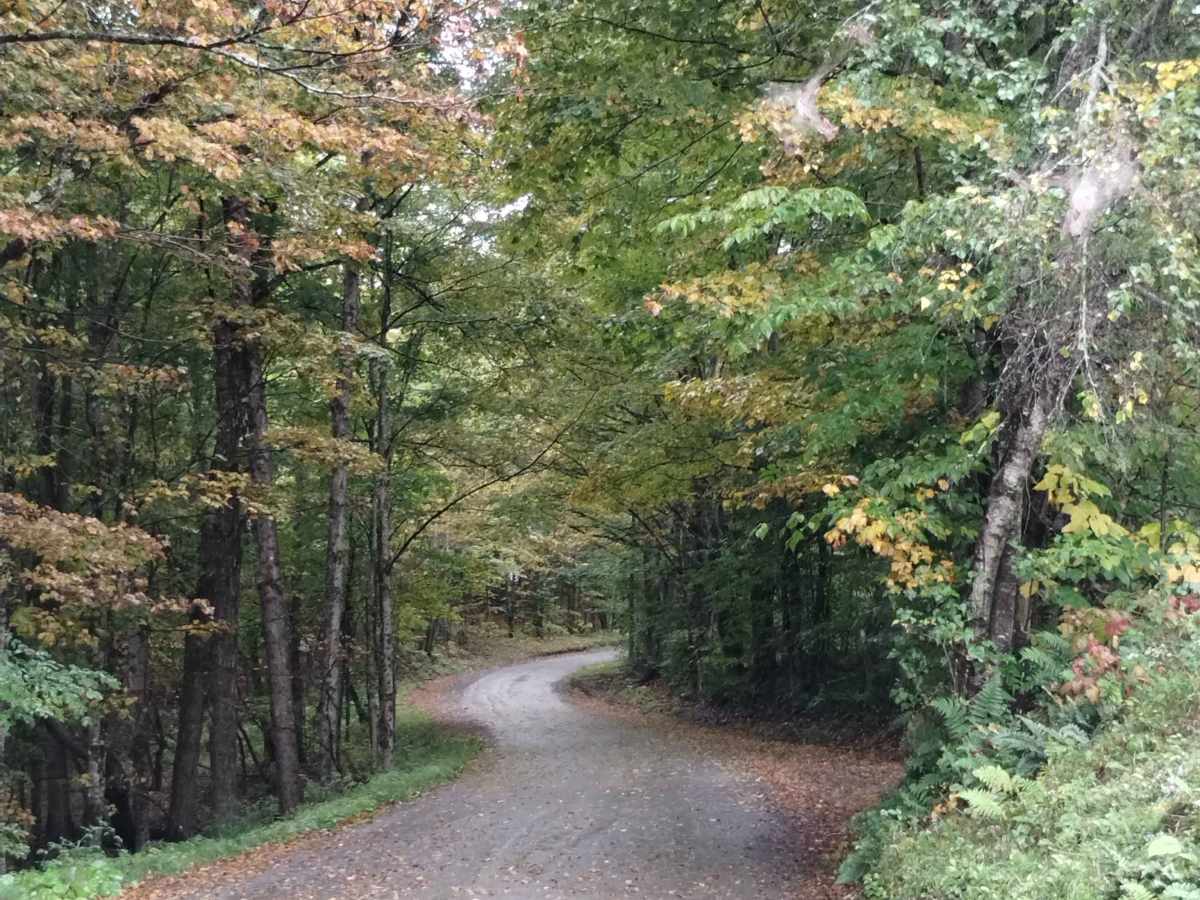 Ward Hill Track photo 3