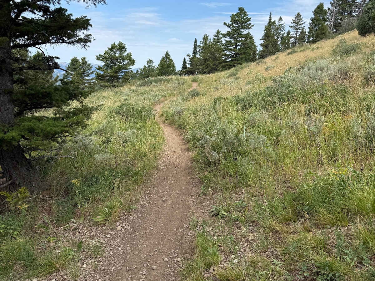 Dead Horse Ridge photo 2