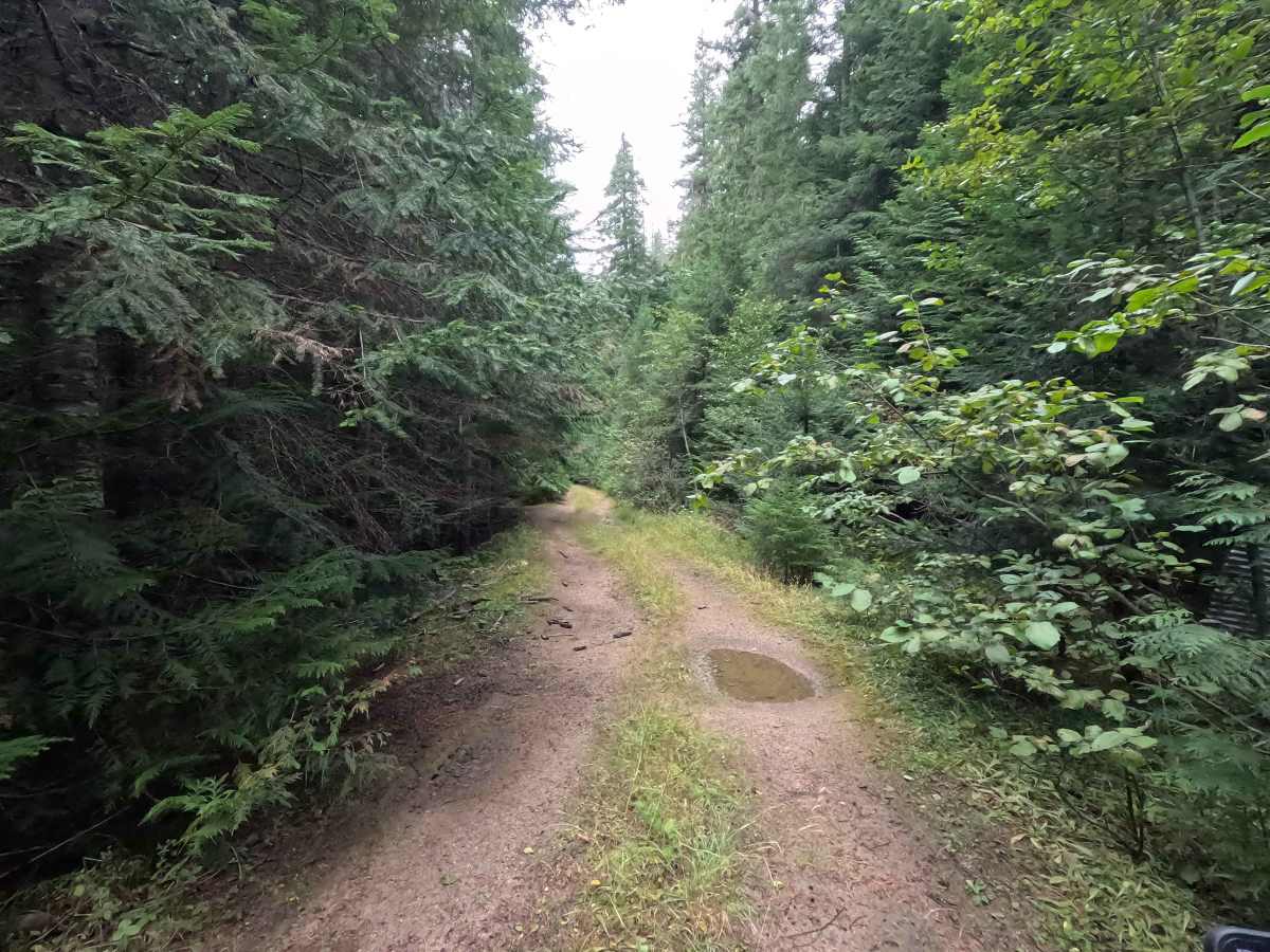 West Branch Flat Creek - FS 462 photo 2
