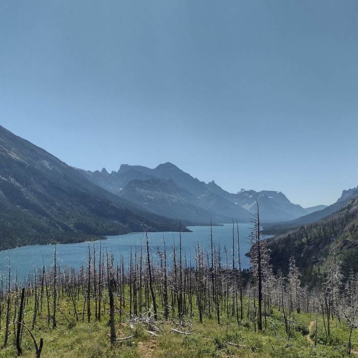 Near Bertha Lake Trail