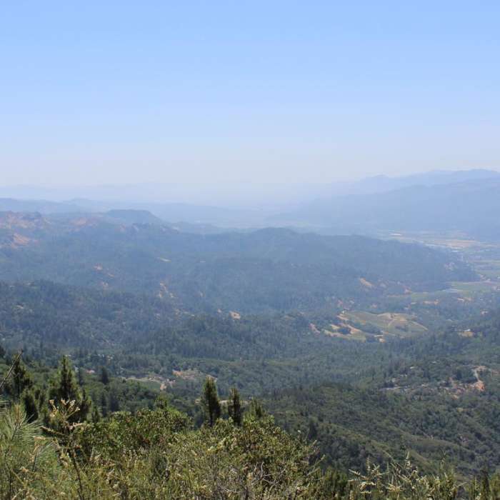 Near Mount Saint Helena