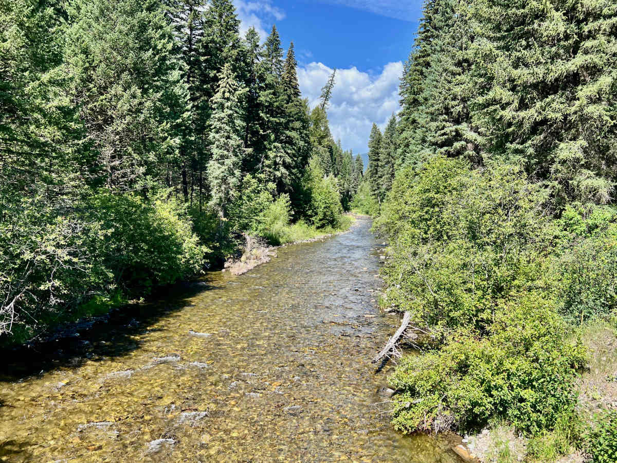 LinkLater Forest Service Road photo 3